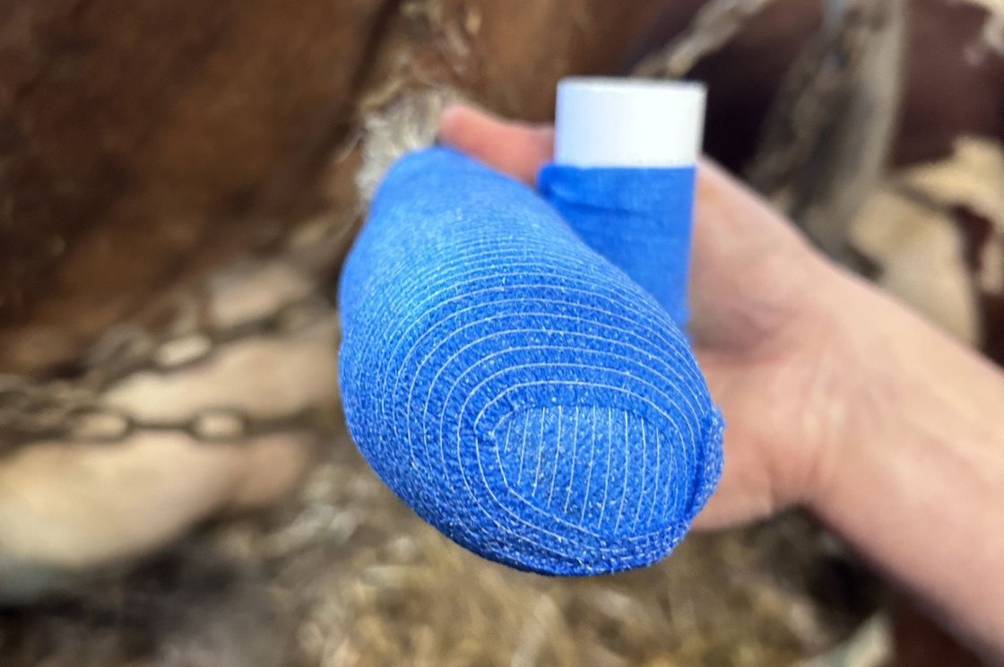 Jako krytí slouží sterilní gáza, vypodložená následně vatou a uchycená na ráně elastickým obinadlem (cobanem)