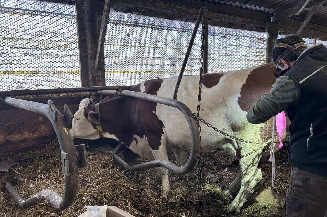 Při správně provedené epidurální anestezii je zajištěn co největší komfort pacienta a bezpečnost operatéra