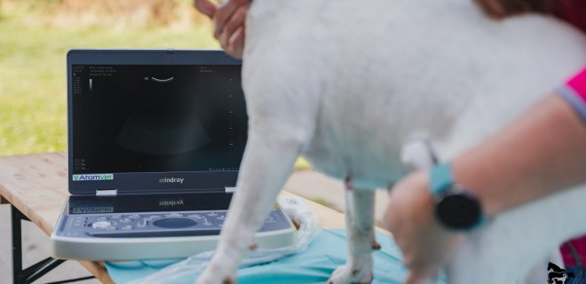 Veterinární služby 
s láskou a péčí