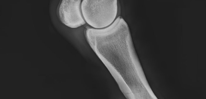 Veterinární služby 
s láskou a péčí